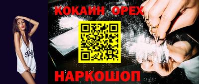 крисы Будённовск