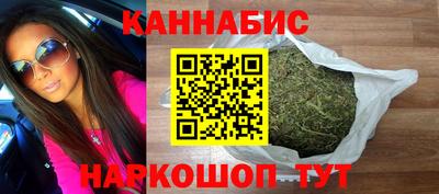 крисы Будённовск