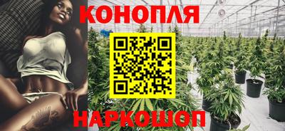крисы Будённовск