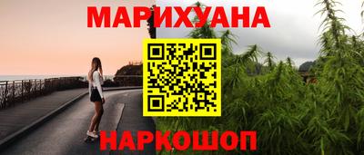 крисы Будённовск