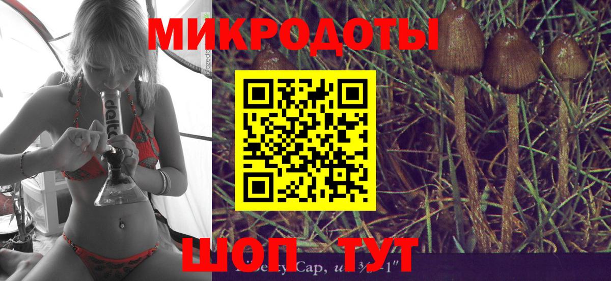Чистополь  Псилоцибиновые грибы MAGIC MUSHROOMS  Вход с VPN 